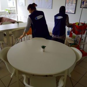 team cleaning modaxinet